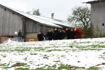 Lauftraining 046